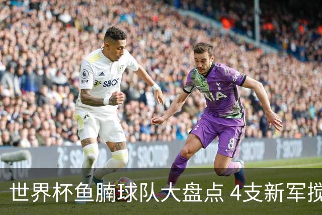 世界杯鱼腩球队大盘点 4支新军搅局者盼奇迹
