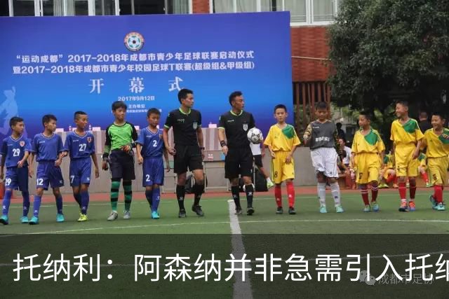 托纳利：阿森纳并非急需引入托纳利，不应花1亿英镑买他