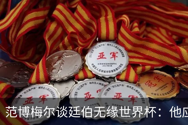 范博梅尔谈廷伯无缘世界杯：他应该立刻去度假，把精力放到下赛季